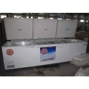 1018L Chest Freezer Double door condenser outside