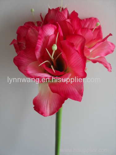 31" satin amaryllis stem