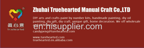 wholesale oem unique diy handmade gift paint by number