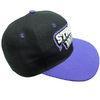 3D Embroidered Snapback Baseball Caps Hat for Fashion Clothing