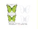 butterfly / lovely sticky note