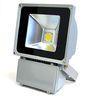 High energy efficiency Dimmable Aluminum Alloy Indoor Led Flood Lights 40Watt