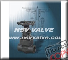 BB type gate valve with SW/NPT end