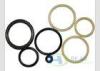 Non-toxic Viton / FKM / FPM O Ring / Gasket for Chemical Industry Medical Technique