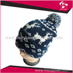 NOVELTY LADIES KNITTED BEANIE