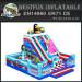 Penguin Inflatable Amusement Playground