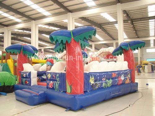 Giant Inflatable Dolphin Playground for Children