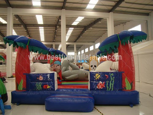 Giant Inflatable Dolphin Playground for Children