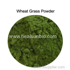 Organic Wheat Grass Powder