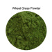 Wheat Grass Powder green food barley grass powder alfafa grass powder nature diet food supplement