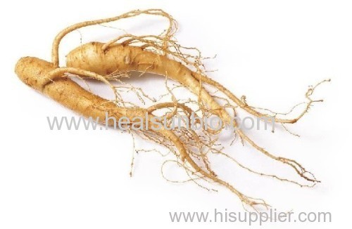 Organic American Ginseng Root Powder