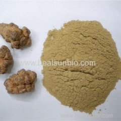 Organic Panax Notoginseng Root Powder 80mesh to 200Mesh