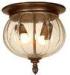 IP 44 Brown Outdoor Ceiling Lights Water Glass Lamp Incandescence Lamp