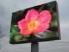 DIP346 Fixed Square Outdoor Full Color LED Display Signs P10 1R1G1B For Events