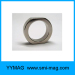 large NdFeB ring magnet