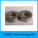 samarium cobalt ring magnet