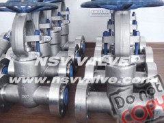 F317L Pressure Seal Bonnet Gate Valve