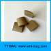 smco small ring block disc magnet