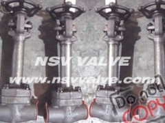 Cryogenic Forged Gate Valve