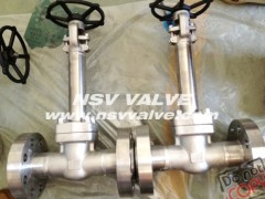 Cryogenic Forged Gate Valve