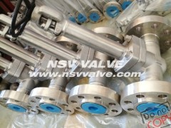 Cryogenic Forged Gate Valve