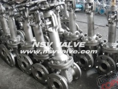 CF8M cryogenic gate valve