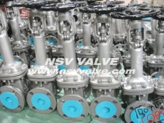 Cryogenic Stainless Steel Gate Valve