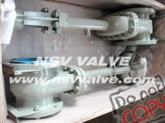 Cryogenic Stainless Steel Gate Valve