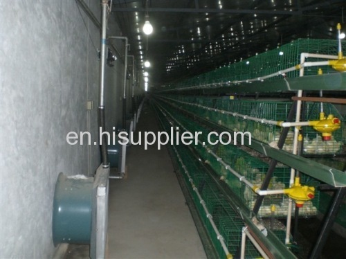 Welded wire mesh panel automatic layer chicken cage