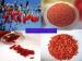 Bulk Soft Chinese Goji Berry 360size For Strengthen Immunity