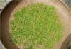 Health Dried Herbal Goji Green Tea From Berry Leaf And Tree