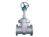 Gear Gate Valve 1