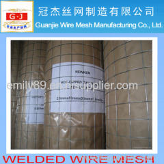 Pvc Coated Welded wire Mesh