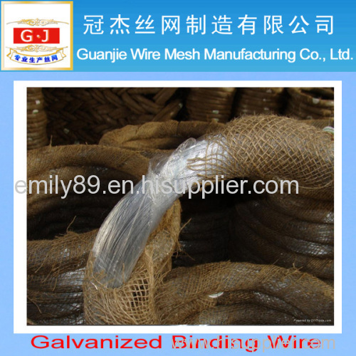 galvanized iron wire factory & ISO9001
