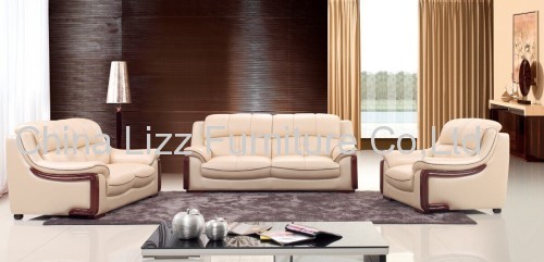 Customized Sofa Leather Sofa