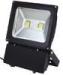 CE 100W 265Volt Outdoor LED FloodLights Energy Saving Dustproof 120 Degree
