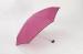 19" 6 Ribs Plum 5 Folding UV Parasol Umbrella With Case For Subway