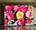Commercial P3.91 Super Slim Led Display For Indoor Hotel Advertising