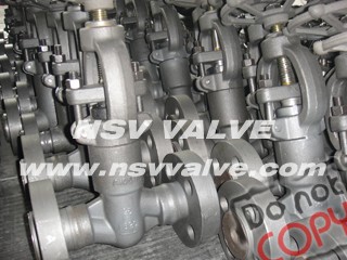 A105 PSB globe valve