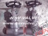 Forged A105 WB Globe Valve