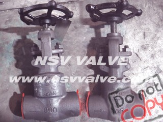 A105 WB forged globe valve