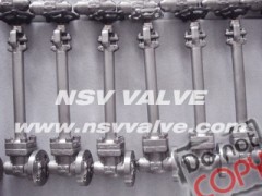 Stainless steel cryogenic globe valve