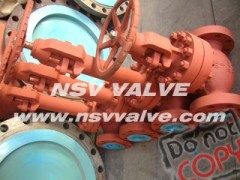 Cast steel globe valve