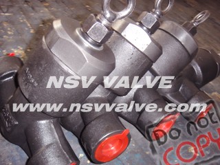 A105 PSB forged lift check valve