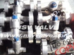 SS Forged PSB lift check valve