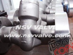 SS Forged PSB lift check valve