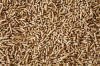 Biomass High quality Wood Pellet