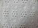 Cotton Eyelet Lace Fabric