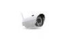 Surveillance White 1.3 Megapixel Waterproof IP Camera For Railway Stations