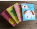 40 inserts / A4 file collect / PP / animal file folder